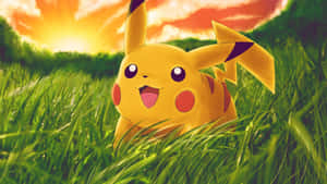 Cute Baby Pikachu In Grass Wallpaper