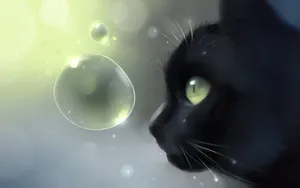 Cute Black Cat And Bubble Wallpaper