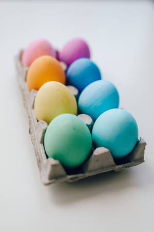 Cute Blue Egg Tray Wallpaper