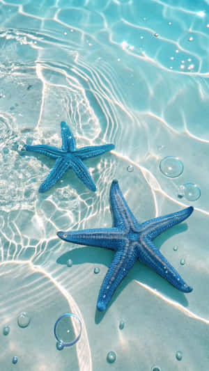 Cute Blue Starfish Ocean Wallpaper