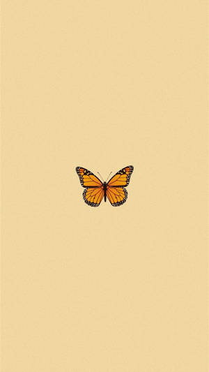 Cute Butterfly Original Iphone 4 Wallpaper