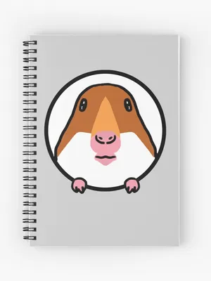 Cute Capybara Meme Pfp Wallpaper