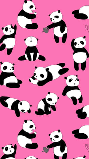 Cute Cartoon Panda Pink Background Wallpaper