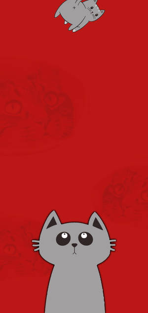 Cute Cat For Samsung S20 Fe Wallpaper