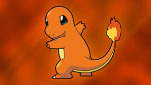 Cute Charmander Admiring His Home Wallpaper