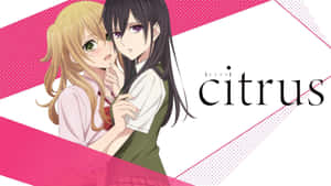 Cute Citrus Anime Poster Wallpaper