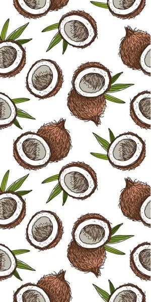 Cute Coconut Summer Phone Wallpaper