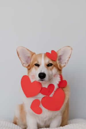 Cute Corgi Heart Cut Outs Wallpaper