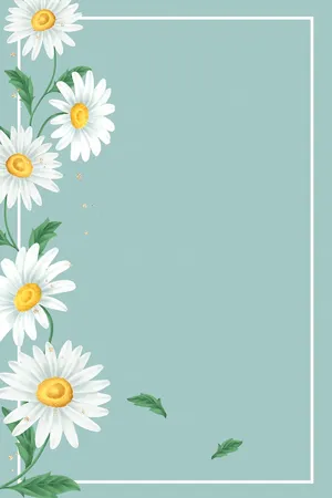 Cute Daisy Flower Frame Border Wallpaper