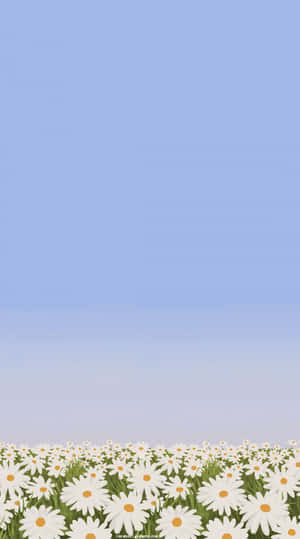 Cute Daisy Flowers Aesthetic Screensaver Wallpaper