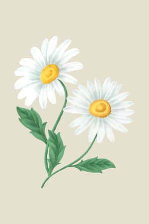 Cute Daisy Vintage Watercolor Art Wallpaper