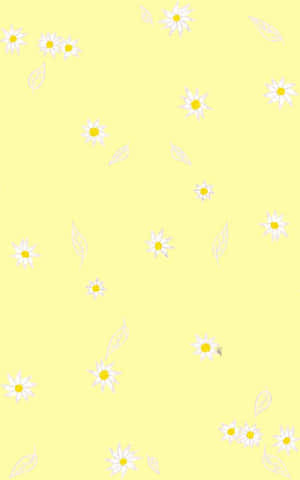 Cute Daisy Yellow Floral Print Wallpaper