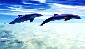 Cute Dolphin Digitally Painted Wallpaper