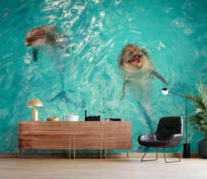 Cute Dolphin Wall Design Wallpaper
