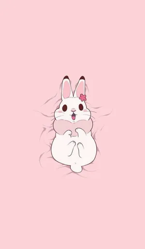 Cute Fluffy Bunny Pink Background Wallpaper