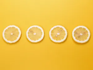 Cute Fruit Lemon Slices Wallpaper