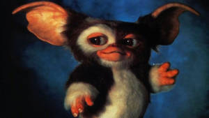 Cute Gremlin From Gremlins Movie Wallpaper