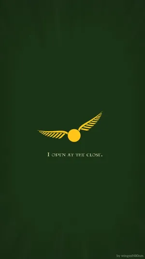 Cute Harry Potter Golden Snitch Wallpaper