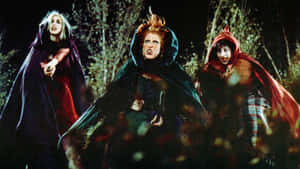 Cute Hocus Pocus Three Witches Wallpaper