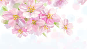 Cute Kawaii Flower Blooming In Spring Wallpaper