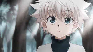 Cute Killua Anime Forest Scene Wallpaper