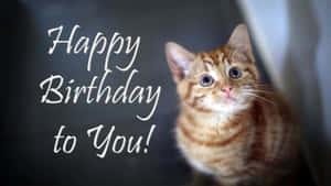 Cute Kitten Happy Birthday Greeting Wallpaper