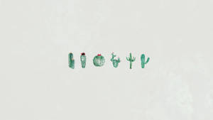 Cute Minimalist Cactus Wallpaper