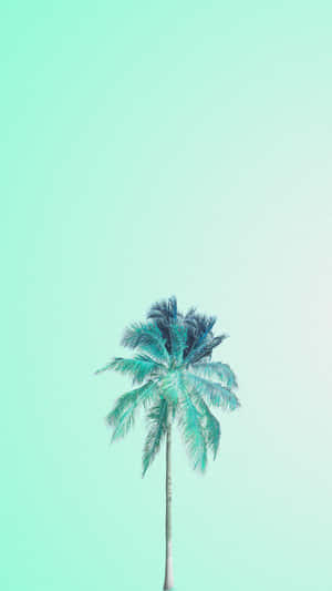 Cute Mint Green Aesthetic Coconut Tree Wallpaper