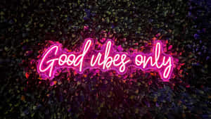 Cute Neon Pink Phrase Sign Wallpaper