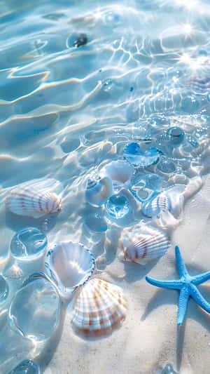 Cute Ocean Shells And Starfish Wallpaper