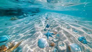 Cute Ocean Treasures Wallpaper