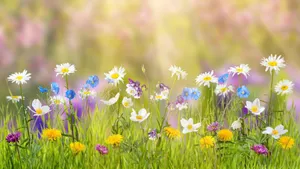 Cute Pastel Spring Flowers Wallpaper