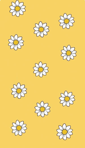 Cute Pastel Yellow Aesthetic Daisy Wallpaper