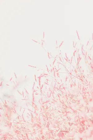 Cute Pink Aesthetic Tiny Wildflowers Wallpaper