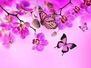 Cute Pink Flowers And Butterflies Wallpaper