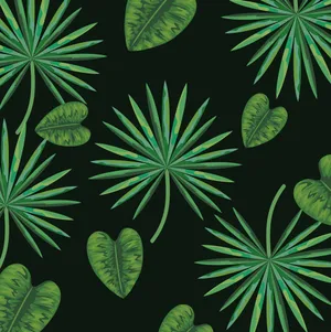 Cute Plant With Heart Leaves Wallpaper