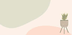 Cute Plant With Vase Stand Wallpaper