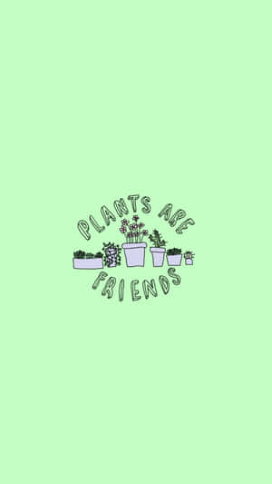 Cute Plants Are Friends Slogan Wallpaper