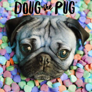 Cute Pug Surrounded By Small Colorful Hearts Wallpaper