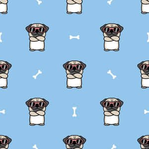 Cute Pug Wearing Shades Wallpaper