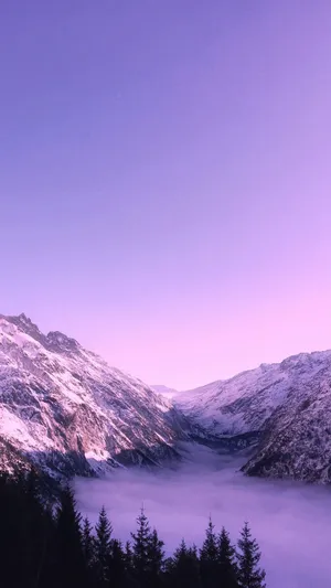 Cute Purple Winter Sky Phone Wallpaper