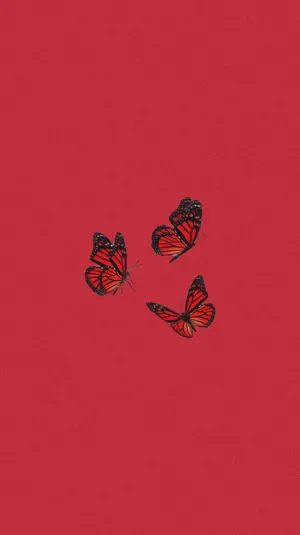 Cute Red Butterflies Wallpaper