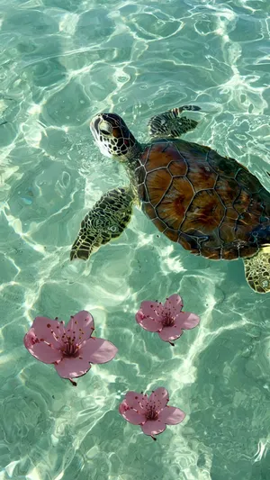 Cute Sea Turtle Swimming Wallpaper