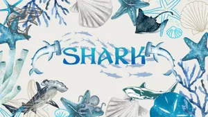 Cute Shark Ocean Frame Wallpaper