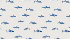 Cute Shark Pattern Wallpaper