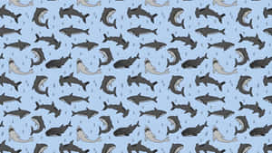 Cute Shark Pattern Wallpaper