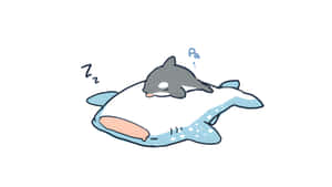 Cute Shark Sleeping On Whale Wallpaper
