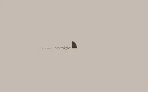 Cute Simple Aesthetic Minimal Shark Fin Desktop Wallpaper