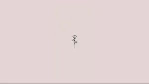 Cute Simple Aesthetic Sketch Rose Desktop Wallpaper