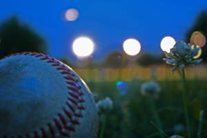 Cute Softball With Flower Wallpaper